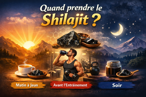Quand prendre le shilajit ?